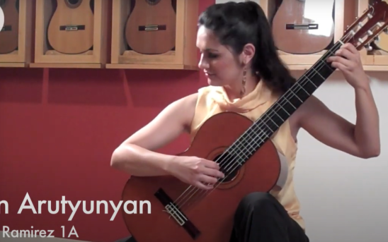 Iren Arutyunyan at GSI