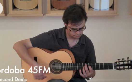 Student Flamencos - 33 Second Demos