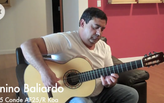 Tonino Baliardo at GSI
