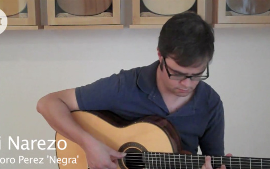 Teodoro Perez Negra