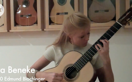 Eva Beneke at GSI - Hauser and Blochinger