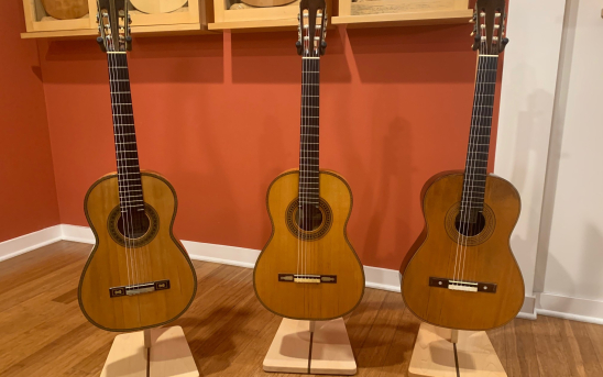 Francisco Tárrega's Guitars