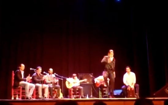 Flamenco Kids