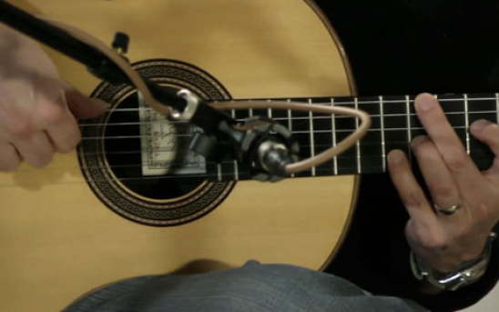 Video - Bernd Martin Negra