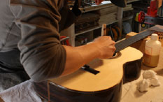 Luthier: Bertrand Ligier