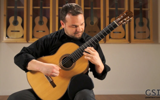 Matt Palmer at GSI
