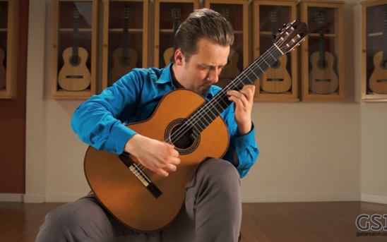 Sanel Redzic at GSI