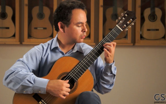 Rafael Elizondo - 2014 Daniel Friederich