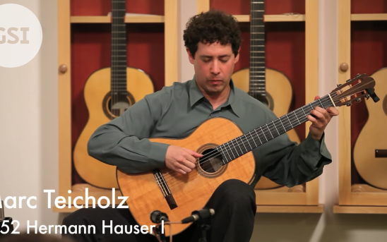 Marc Teicholz Live Performance