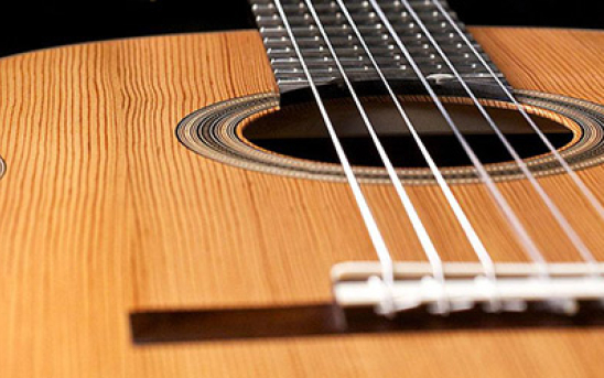 More Ancient Wood in yet another Blochinger guitar