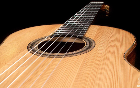 The Dome Guitar