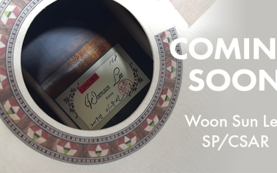 Photos: Woon Sun Lee's Building Process