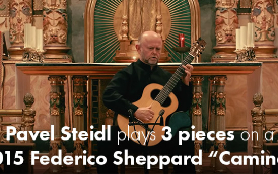 Pavel Steidl plays Federico Sheppard 