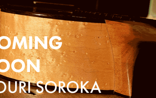 See Photos of Youri Soroka's Torres model