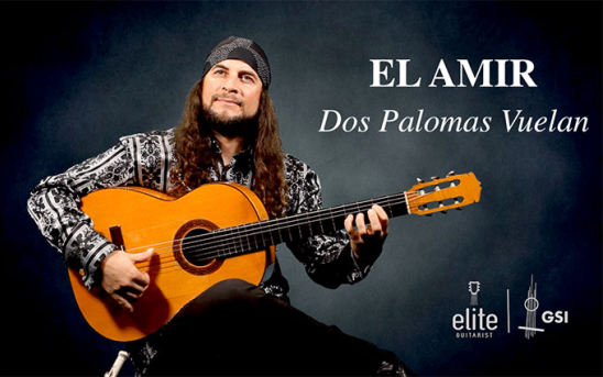 EliteGuitarist Flamenco - 