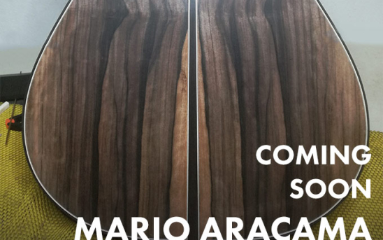 <i>*Update</i>: Kamagong Back & Sides on the new Mario Aracama Guitar