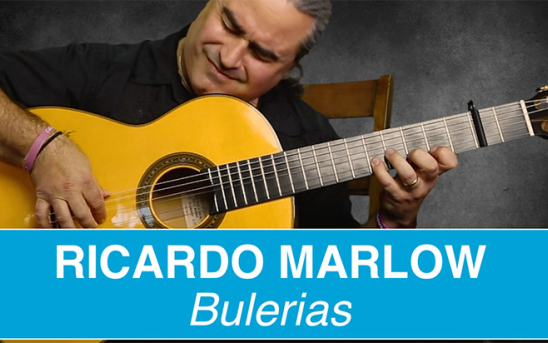 Online Flamenco guitar lessons with Ricardo Marlow via EliteGuitarist.com