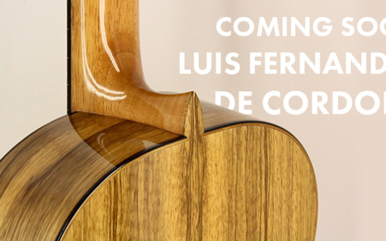 PHOTOS: Unique, Stunning back & sides on Luis Fernandez de Cordoba's guitar