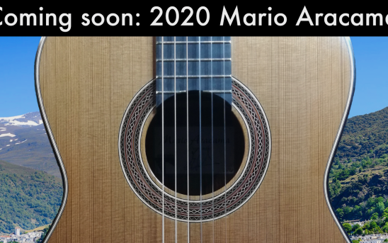 From the idyllic Alpujarra mountains in Spain - Mario Aracama's next guitar