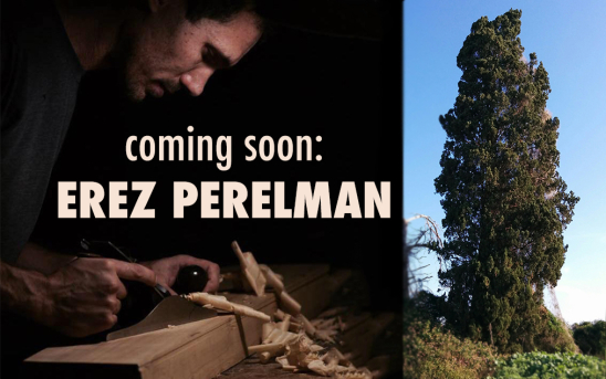Sneak peek: Erez Perelman builds his second guitar made from Israeli wood.