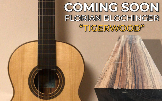 Coming Soon: Florian Blochinger builds a new guitar for GSI from… TIGERWOOD!