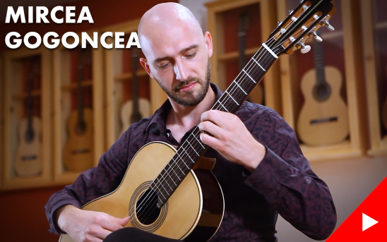 Our Former GSI Foundation Scholar, Mircea Gogoncea, Stops by GSI to Record Seven New Videos.