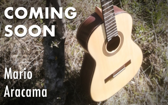 Mario Aracama Is About To Finish Building Another Guitar For GSI.