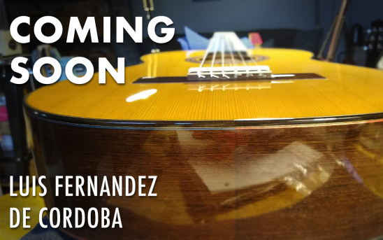 Luis Fernandez de Cordoba Builds a New GSI Guitar From Wood Harvested In Alaska.