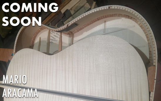 Mario Aracama Builds His First Guitar With Maple Back and Sides for GSI.