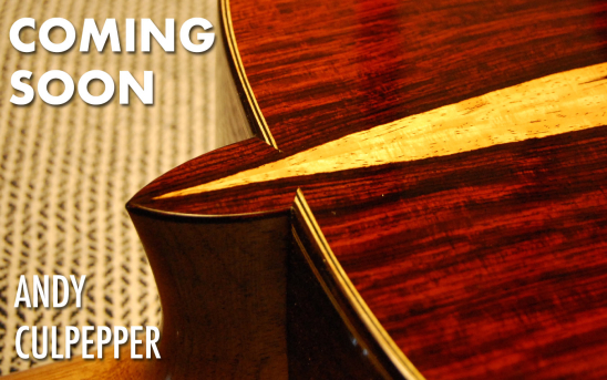 Andy Culpepper Picks a Beautiful Set of Cocobolo for His New GSI Guitar.
