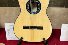 Marco Lijoi's guitar