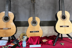 Francesco de Gregorio guitars