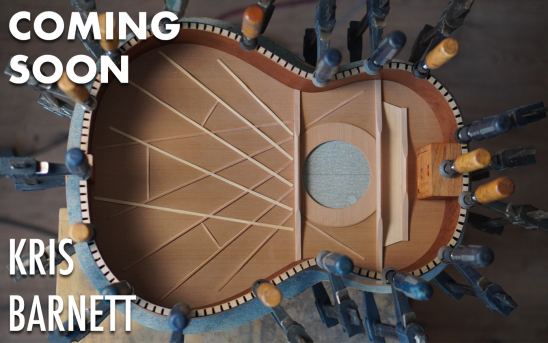 Adelanto: una nueva guitarra de Kris Barnett para GSI