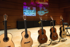 The lineup of guitars in the final round