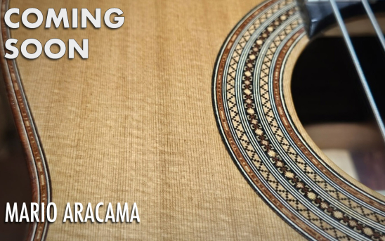 Coming Soon: Mario Aracama's New Cedar-top guitar