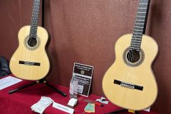 Marco Gilioli's guitars
