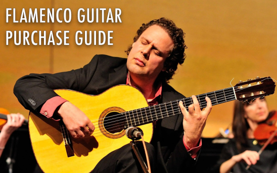 Looking For a Flamenco Guitar? Read Adam del Monte's New Guide on Learnavel