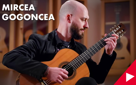 Seven New GSI Videos of Mircea Gogoncea - Our Former GSI Foundation Scholar.