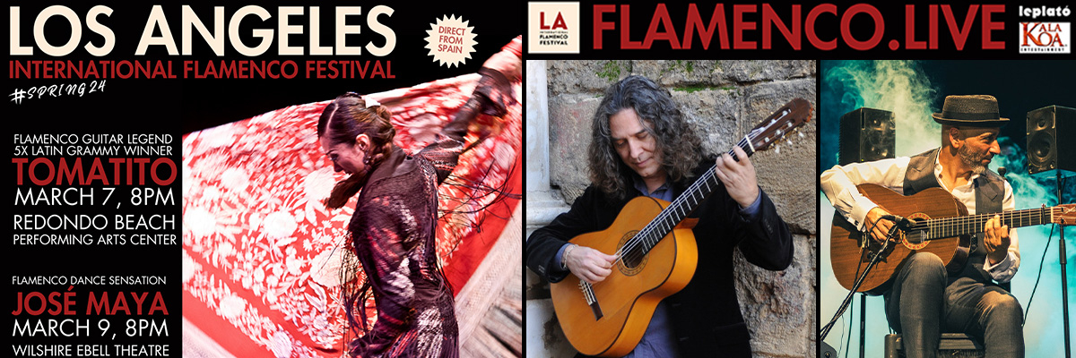 Flamenco guitar festival