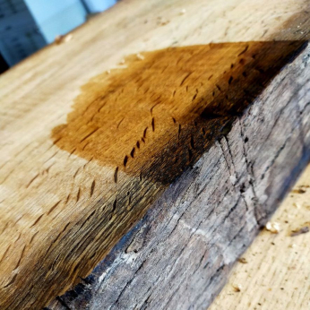900-year-old oak wood