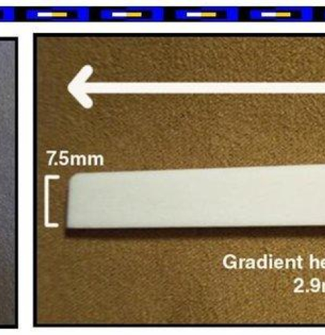 Rosette Bone Saddle Installation Kit