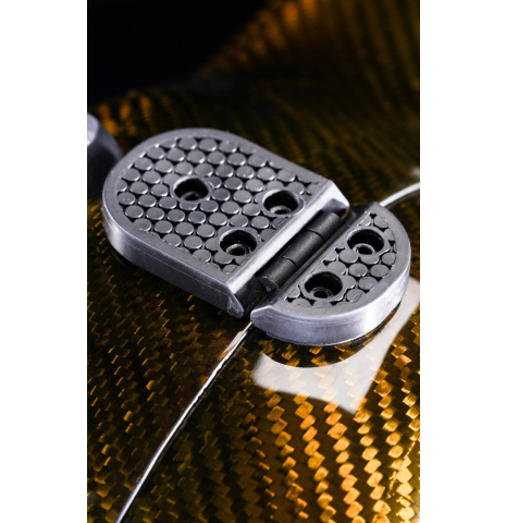 “Luthier Series Carbon Case” by Leona Cases - Champagne