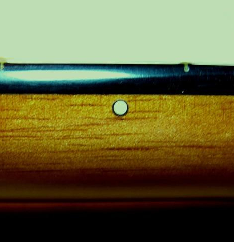 Rosette Fret Marker Dots - Black/Ivory