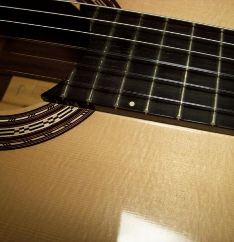 Rosette Fret Marker Dots - Black/Ivory