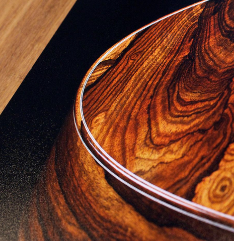 Museum Quality Guitar Print 20" x 30"