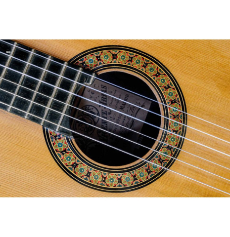 Vicente Arias 1833-1914: The Forgotten Luthier