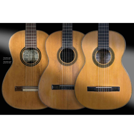 Vicente Arias 1833-1914: The Forgotten Luthier