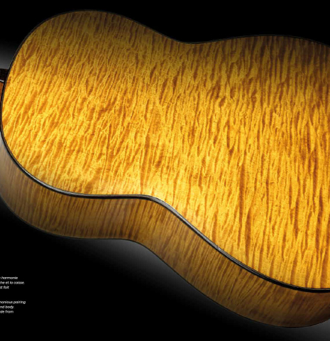 Santos Hernandez 1874-1943: Maestro Guitarrero