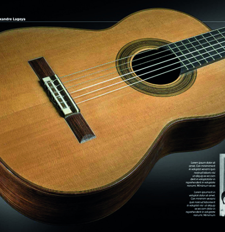 Robert Bouchet 1898-1986: Peintre &amp; Luthier: one of his masterpieces