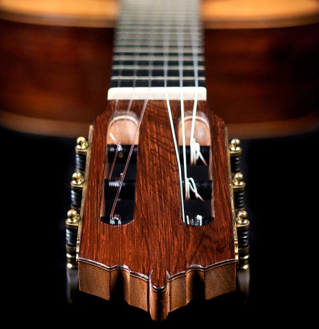 1999 Alejandro SP/IN